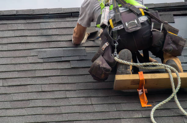 Professional Roofing Contractor in Stearns, KY