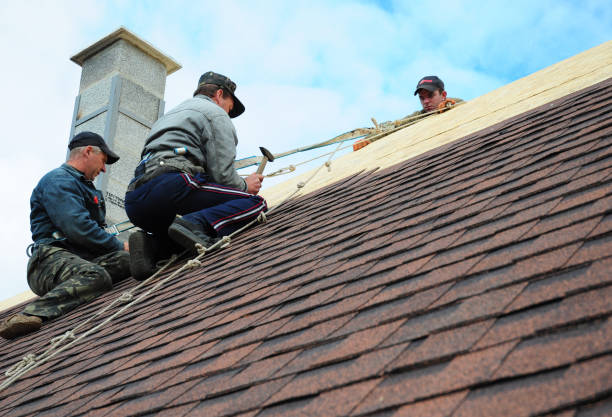 Best Local Roofing Companies  in Stearns, KY